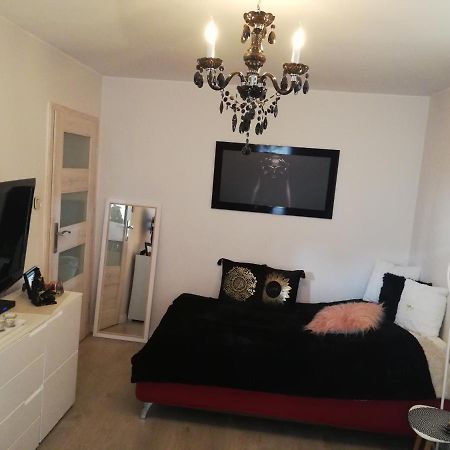 Kawalerka - Jelenia Gora, Dziel. Zabobrze Apartment Ngoại thất bức ảnh