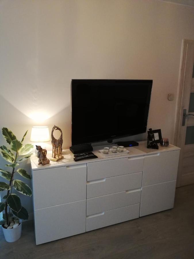 Kawalerka - Jelenia Gora, Dziel. Zabobrze Apartment Ngoại thất bức ảnh